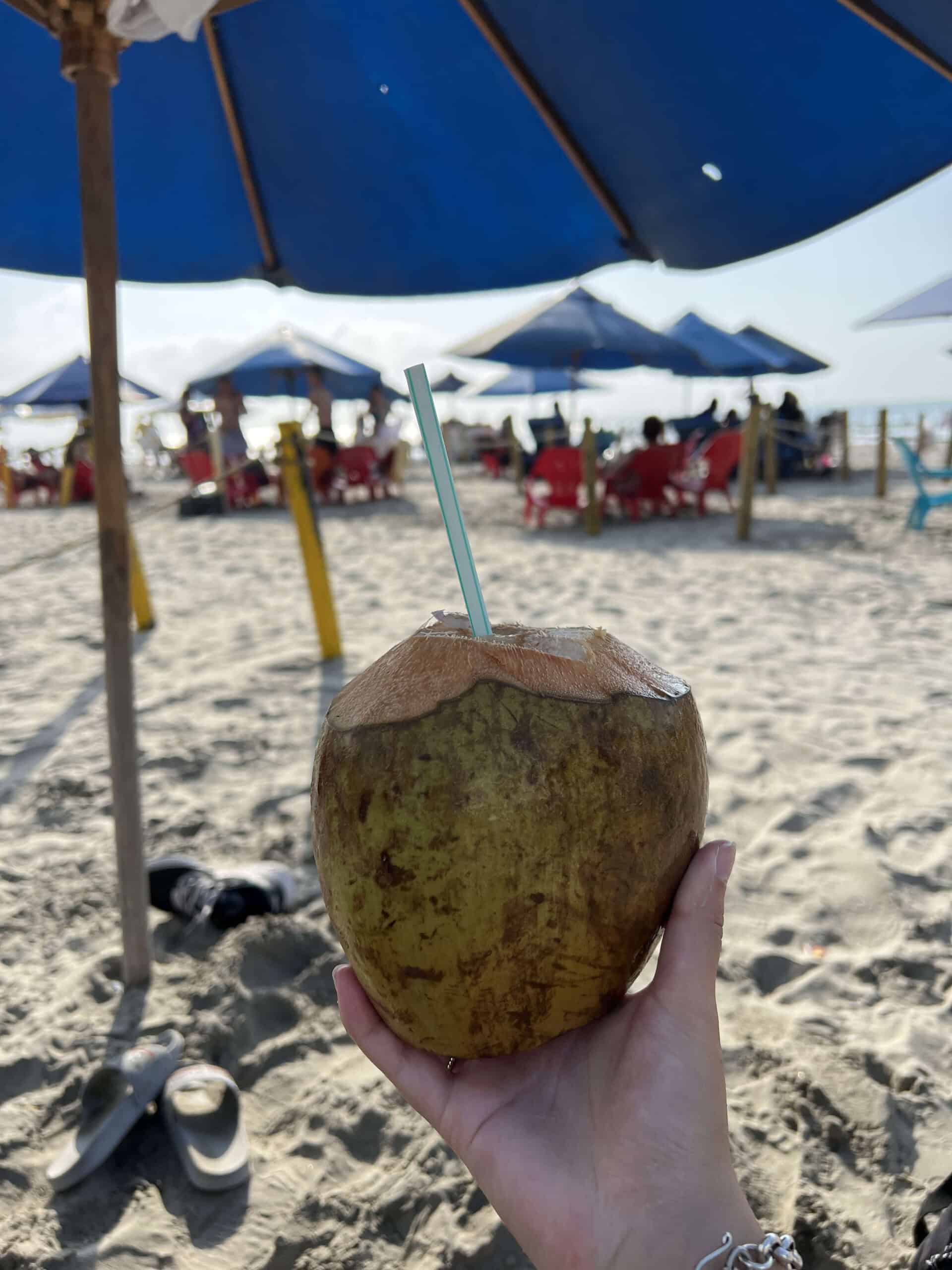 coconut on beach