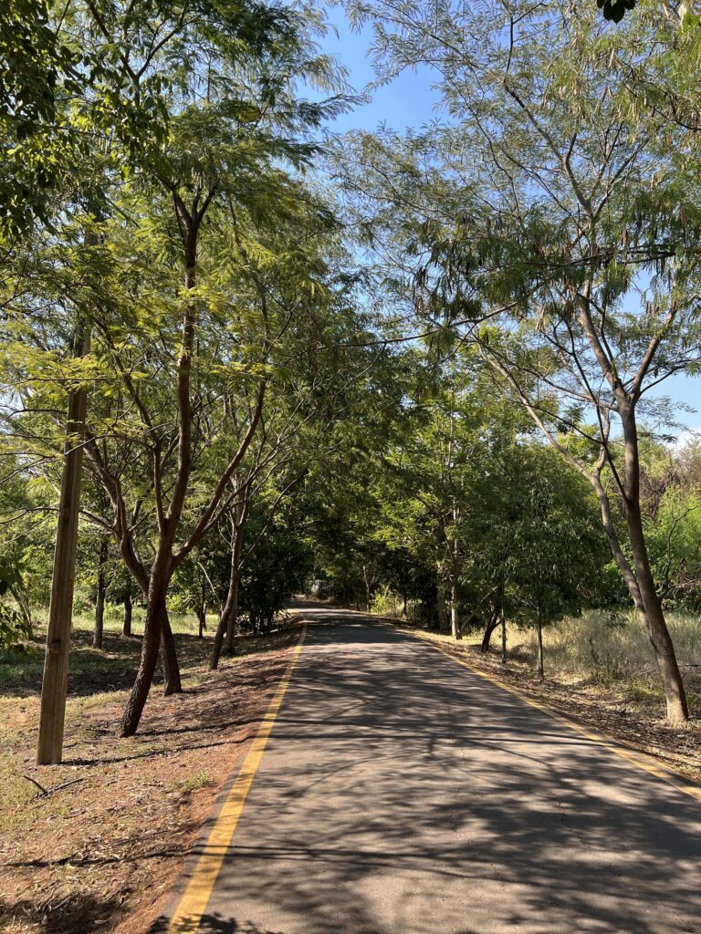 Ñu Guazú park walking