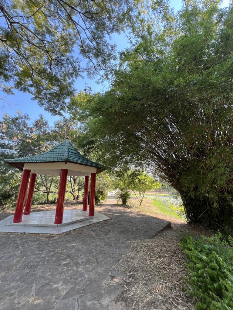 Ñu Guazú lilypad pagoda