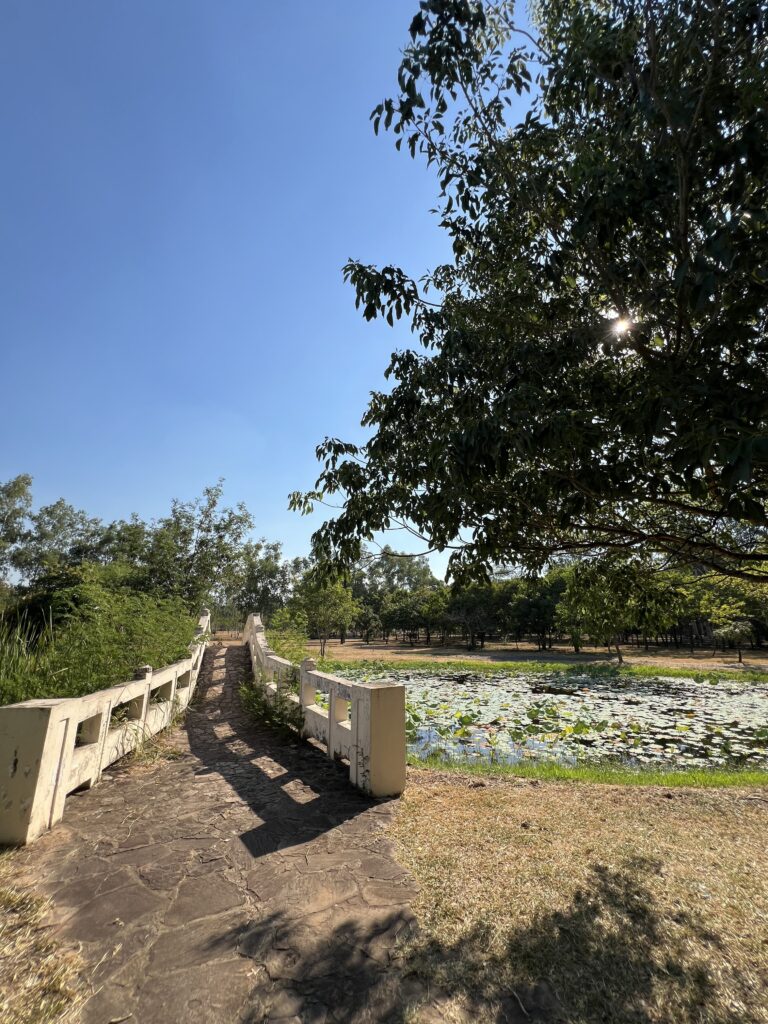 Ñu Guazú lilypad bridge