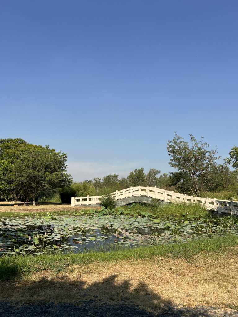 Ñu Guazú Park in Asunción – The Ultimate Guide to Asunción’s Green Escape