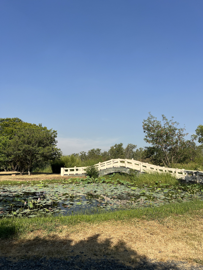 Exploring beautiful Nu Guazu Park