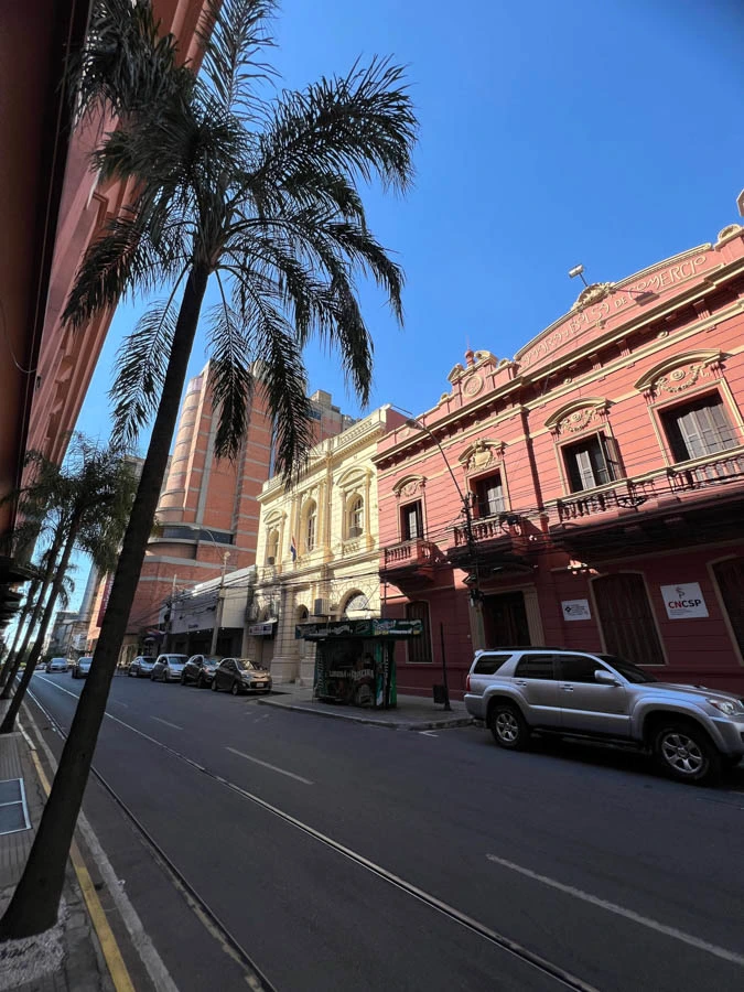 Street with buildings and palm tree
