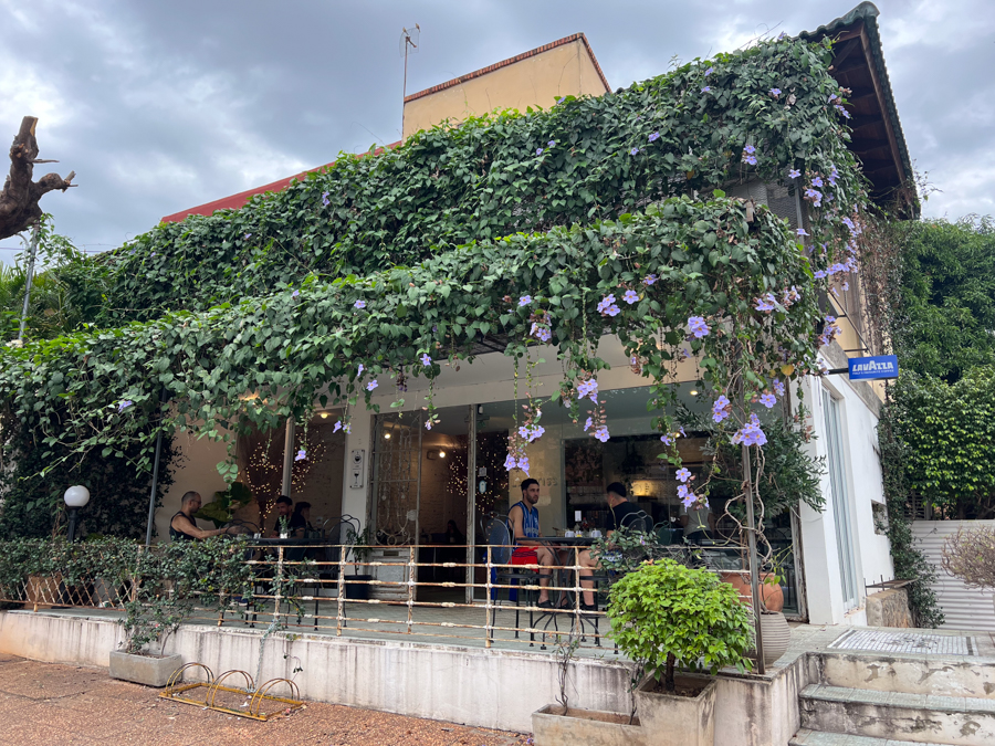 Outside cafe with greenery hanging down