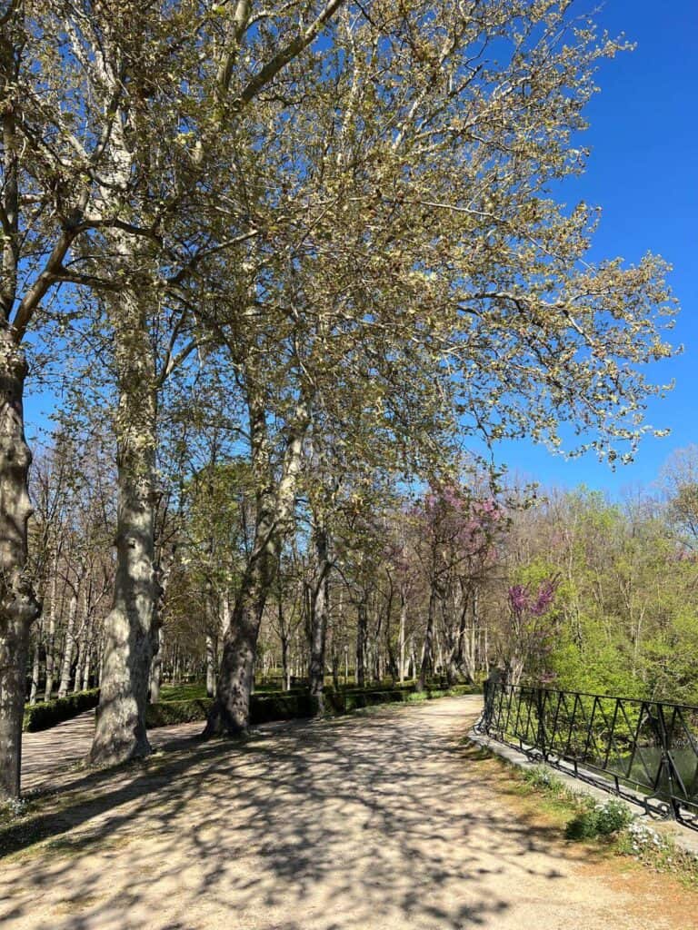 Aranjuez path